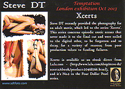 Steve DT's show card