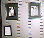 gallery foto 1