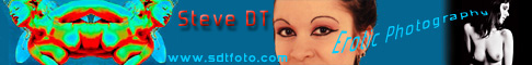 sdtfoto banner 2